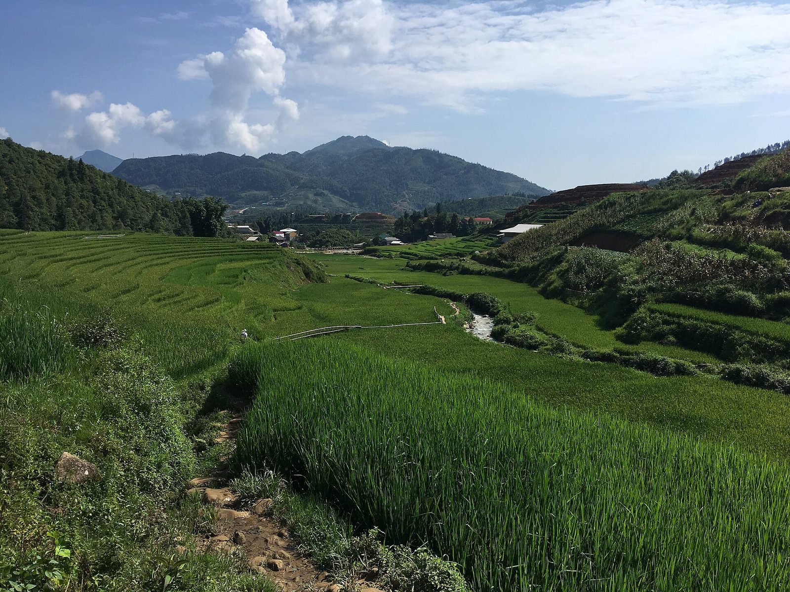 동북·서북부 순환 No.2: 하장 – 사파 – 판시판 (4박 5일)