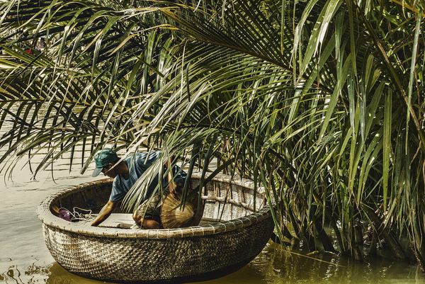 Rừng dừa Bảy Mẫu Hội An: ngồi thúng chai, xem múa thúng